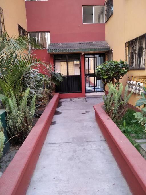 Apartment Sur Unam-inp-hospitales Amueblado Mexico City