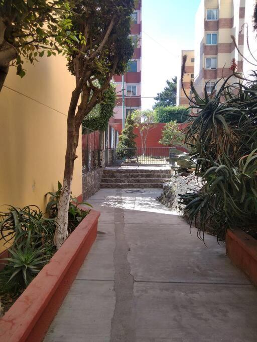 Apartment Sur Unam-inp-hospitales Amueblado Mexico City