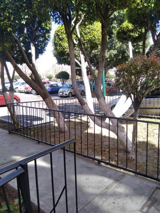 Apartment Sur Unam-inp-hospitales Amueblado Mexico City